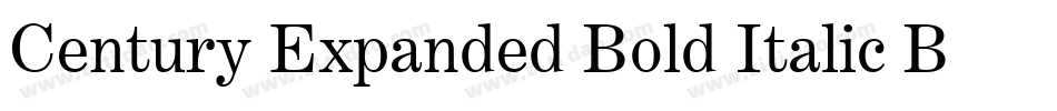 Century Expanded Bold Italic BT字体转换